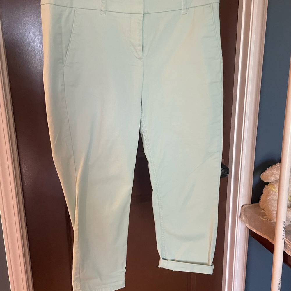LOFT pants